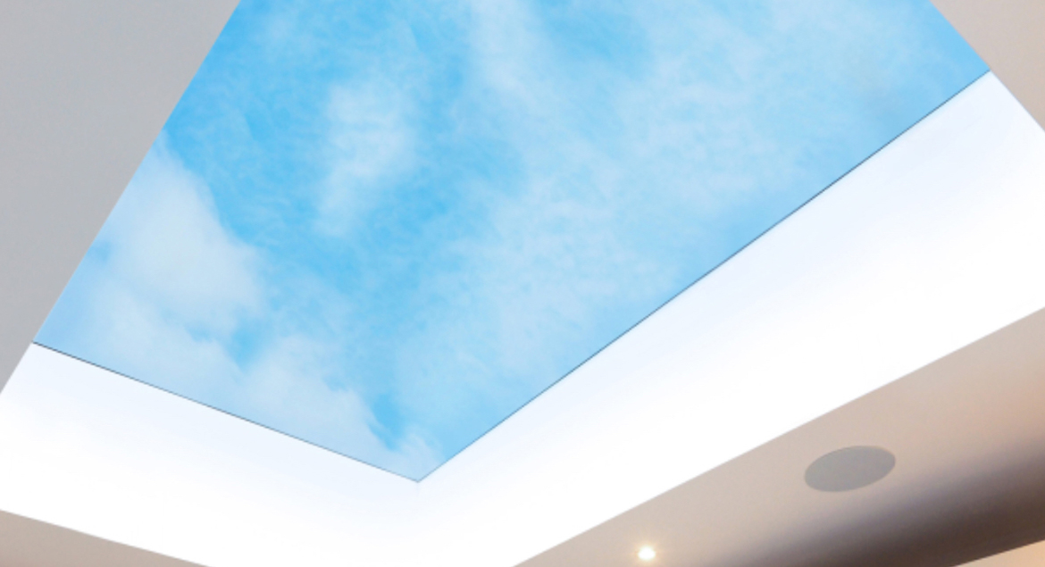 serv-rooflight1 serv-rooflight1